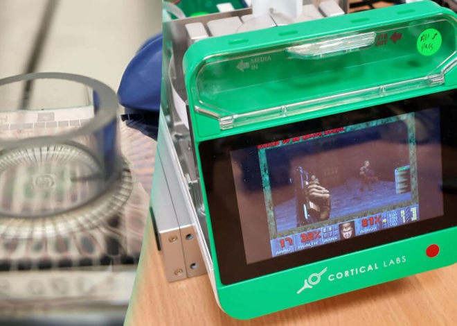 Cortical Labs Tanam 200 Ribu Sel Otak Manusia di Chip untuk Dilatih Main Doom!