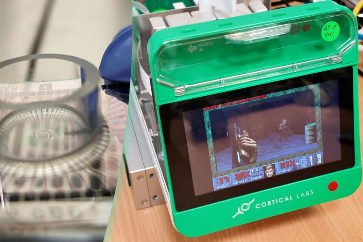 Cortical Labs Tanam 200 Ribu Sel Otak Manusia di Chip untuk Dilatih Main Doom!